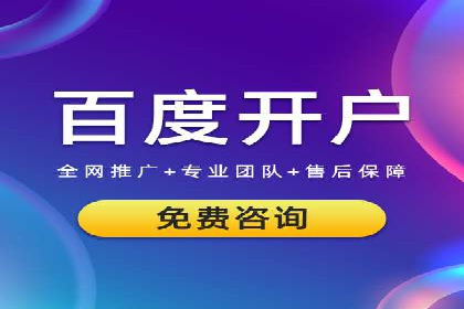 SEM推广实战：成功案例解读与策略调整